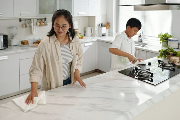 Professional cleaner in modern kitchen